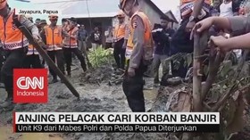 Anjing Pelacak Dikerahkan Cari Korban Banjir Bandang Sentani