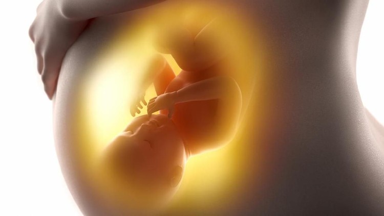 Pregnant woman with fetus 3D concept in 3D
