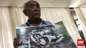 Penangkar Hiu Karimunjawa Tak Terima Ratusan Ikannya Diracun