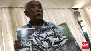 Penangkar Hiu Karimunjawa Tak Terima Ratusan Ikannya Diracun