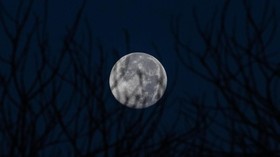 Mengenal Fenomena Pink Moon