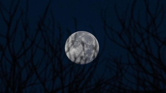Mengenal Fenomena Pink Moon Fenomena full moon akan kembali terlihat pada Jumat (19/4) mendatang, bulan purnama ini dinamakan Pink Moon.