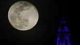 FOTO: Rupa Supermoon Terakhir di 2019 Fenomena supermoon menyapa langit pada Kamis (21/3). Supermoon kali ini merupakan yang terakhir di tahun 2019.