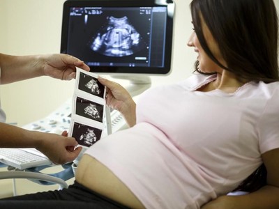 Perkembangan Janin Yang Normal Di Trimester 1 2 Dan 3
