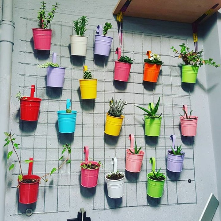 <p>Selain menyejukkan, punya kebun vertikal juga bisa memanjakan mata ya, Bun. (Foto: Instagram @anitnelaviola)</p>