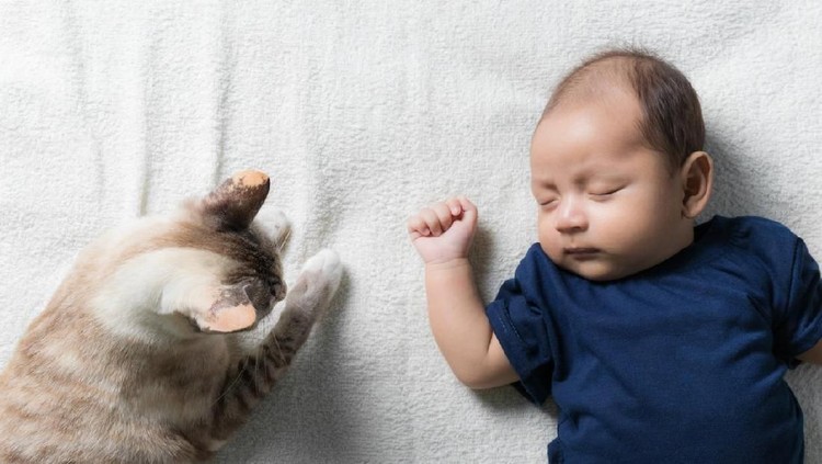 Setelah sebelumnya HaiBunda beri ide nama bayi perempuan dari bahasa Kawi, kini kita tengok untuk nama bayi laki-lakinya yuk, Bun.