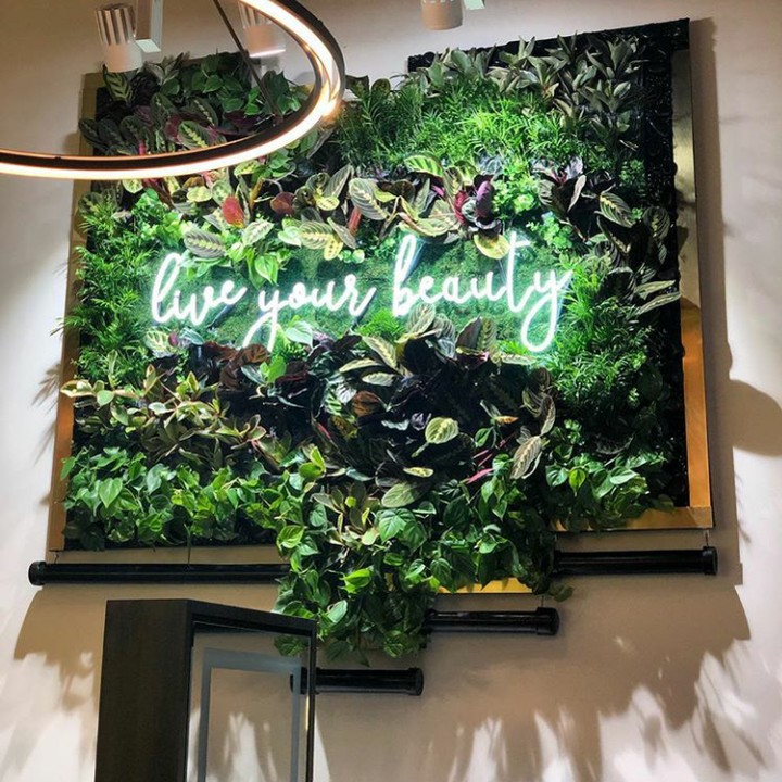 <p>Dalam dekade terakhir, kebun vertikal atau <em>vertical garden</em> semakin diminati. Kebun vertikal juga dikenal sebagai tembok hidup atau tembok hijau.  (Foto: Instagram @rockythefarmer)</p>