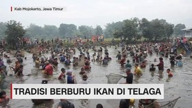 Tradisi Berburu Ikan di Telaga