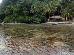 5 Spot Diving Rekomendasi Bupati Halmahera