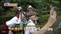 running man taman safari sub indo running man taman safari sub indo