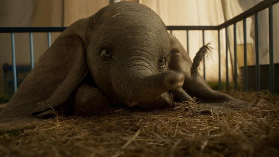 Lirik Lagu Baby Mine - Arcade Fire (OST Dumbo) Berikut lirik lagu Baby Mine yang dinyanyikan Arcade Fire sebagai OST Dumbo.