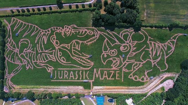 Taman Labirin Unik di Dunia Tak jarang objek wisata membangun labirin untuk menambah unsur keseruan.