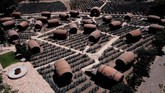FOTO: Hotel Tequila di Meksiko Tequila adalah minuman distilasi yang terbuat dari tanaman agave yang dibuat di sekitar kota Tequila, Jalisco, Meksiko.