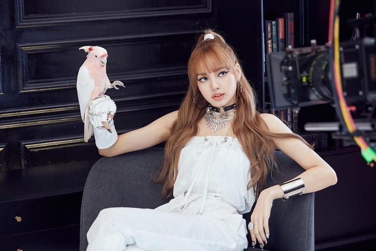 Genap 22 Tahun, Ini Transformasi Penampilan Lisa BLACKPINK Lisa BLACKPINK kini genap berusia 22 tahun. Meninjak usia baru, mari kita flashback transformasi penampilan Lisa ini pun banyak menarik perhatian penggemarnya.