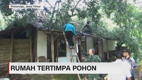 Rumah Tertimpa Pohon