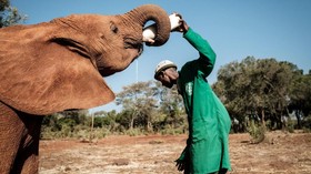 FOTO: Babak Baru Gajah Kenya