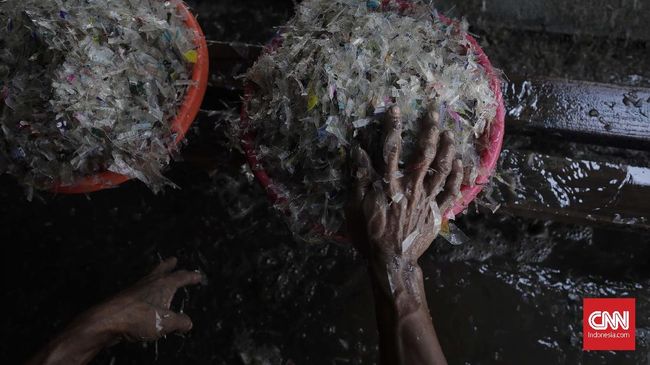 Kampanye less plastic kian ramai digaungkan. Pengurangan penggunaan plastik dapat membantu menyelamatkan laut dari pencemaran.
