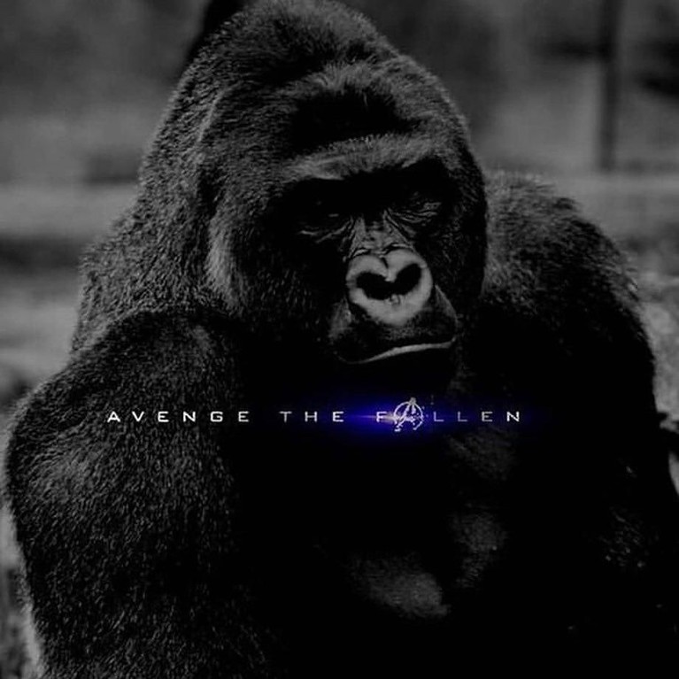 Tak hanya viral dan menjadi sorotan, poster baru film Avengers:Endgame juga banyak dibuatkan meme. Berikut ini meme kratif dari sampul baru film MCU tersebut.