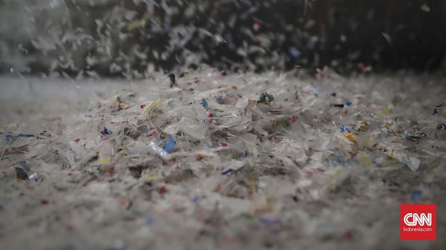 Dalam Sepekan, Manusia Telan 'Plastik Kartu Kredit' Manusia menelan sekitar 5 gram plastik setiap pekan. Kondisi ini membuat plastik menjadi permasalahan global yang harus diperhatikan.
