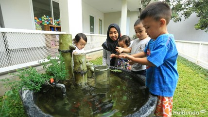 Detik Network