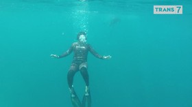 VIDEO: 'Spearfishing' bareng Chicco Jerikho di Halmahera