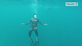 VIDEO: 'Spearfishing' bareng Chicco Jerikho di Halmahera