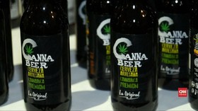 VIDEO: Festival Cannabico untuk Edukasi Ganja di Meksiko