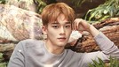Debut Solo, Intip 6 Gaya Tampan Chen EXO Kim Jong Dae atau Chen EXO siap untuk debut solonya lewat lagu Beutiful Goodbye. Hmm, untuk menyambutnya Insertizen intip yuk enam gaya tampan Chen.