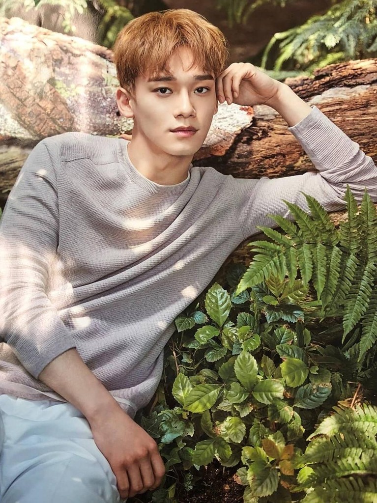 Debut Solo, Intip 6 Gaya Tampan Chen EXO Kim Jong Dae atau Chen EXO siap untuk debut solonya lewat lagu Beutiful Goodbye. Hmm, untuk menyambutnya Insertizen intip yuk enam gaya tampan Chen.