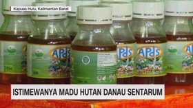 Istimewanya Madu Hutan Danau Sentarum (5/5)