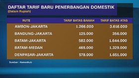 VIDEO: Pemerintah Terapkan Tarif Baru Pesawat Domestik