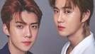 Dinobatkan menjadi salah satu best maknae&comma; apa aja sih fakta-fakta menarik tentang Sehun EXO&quest; Hm&comma; yang mau tahu simak yuk&excl;