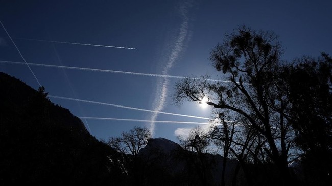 FOTO: Menjaga Keliaran Taman Nasional Yosemite