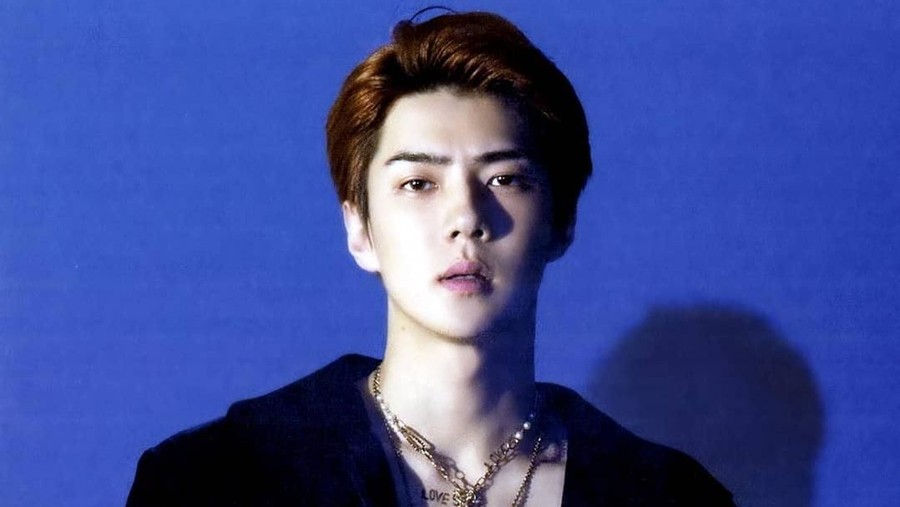 Sehun 'EXO' baru saja menambah daftar aset kepemilikan pribadi yang sangat fantastis.