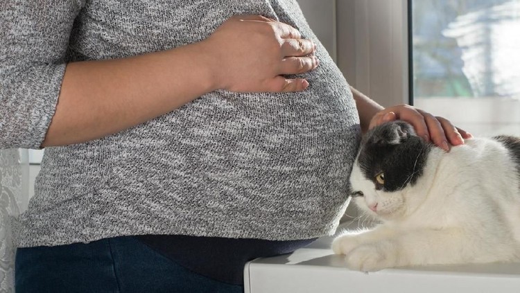 ibu hamil A pregnant woman with a big belly is standing next to her cat