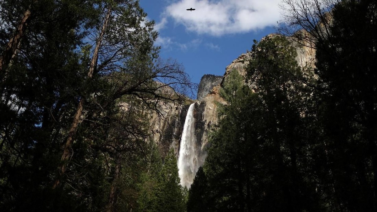 FOTO: Menjaga Keliaran Taman Nasional Yosemite