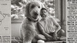 5 Lelucon Favorit April Mop di Internet