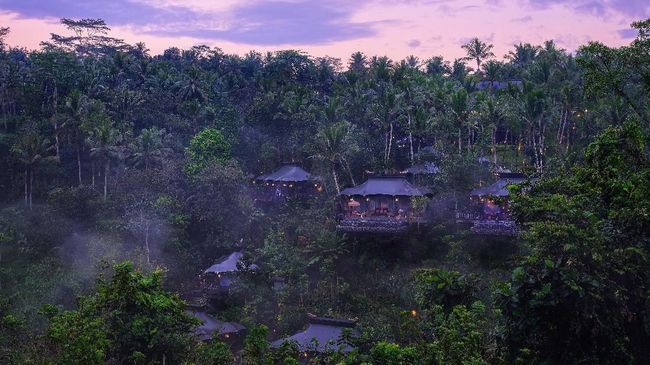 Seluruh kamar dilengkapi dengan kolam jacuzzi yang menghadap langsung ke arah hutan dan persawahan hijau.