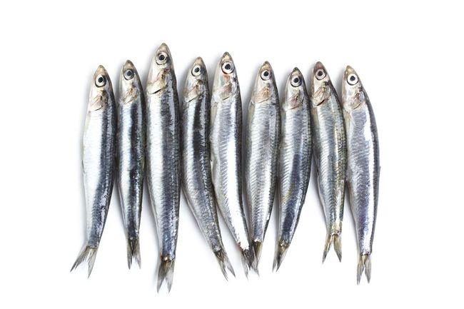 Jenis Ikan Asin Yang Nikmat Dan Populer Di Indonesia Jenis Ikan Asin Yang Nikmat Dan Populer Di Indonesia