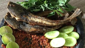 Menu Murah Meriah, Ini 5 Manfaat Makan Ikan Lele Setiap Hari