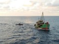 Media Korsel Ungkap Kapal Ikan China Eksploitasi ABK WNI