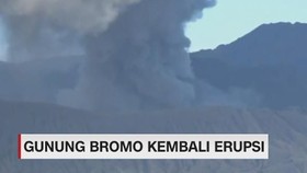 VIDEO: Gunung Bromo Kembali Erupsi