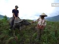 VIDEO: Sumatera Barat Rancak Bana