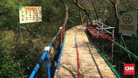 Mencari Teduh Mangrove di 'Planet Bacassie'