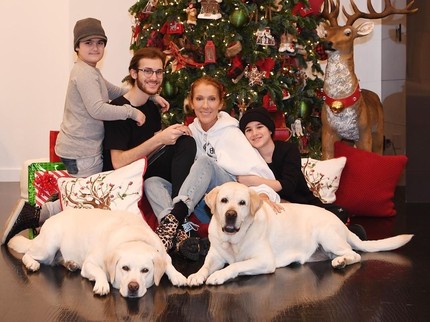 5 Selebriti Dunia Ini Punya Anak Kembar, Celine Dion hingga George Clooney