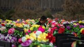 FOTO: Festival Ching Ming untuk Mengingat Leluhur di China Bertujuan mengingat dan menghormati leluhur, Festival Ching Ming di China merupakan tradisi yang telah mengakar selama ribuan tahun.