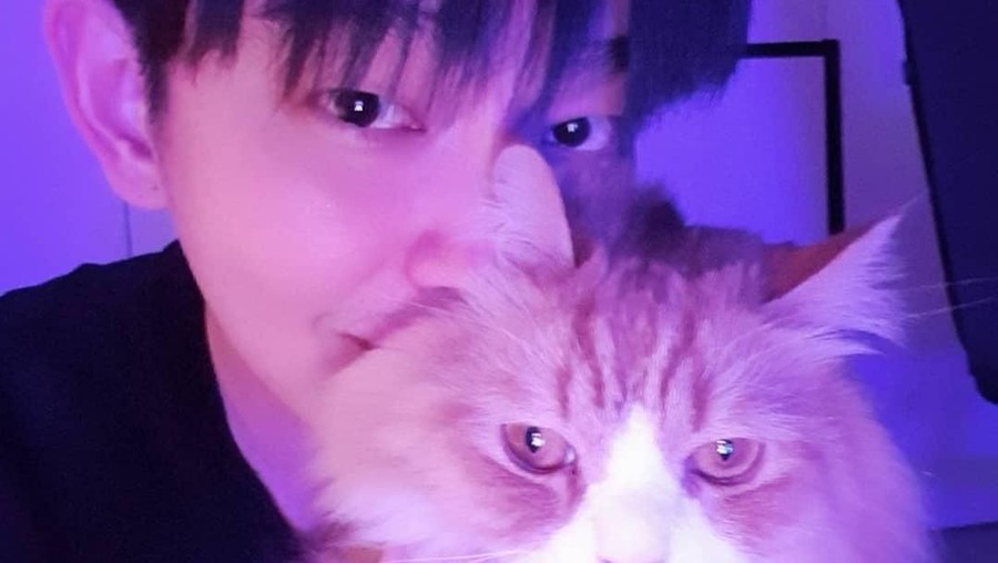 Yoon Kyunsang Berikut ini Insertlive sajikan daftar artis Korea pecinta kucing.