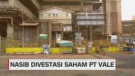 VIDEO: Nasib Divestasi Saham PT Vale