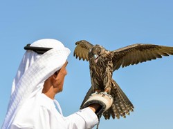 Kisah Kesabaran Nabi Musa AS dan Dua Ekor Burung