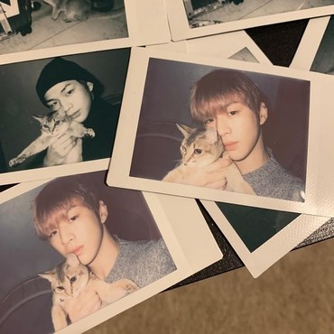 Menggemaskan, Ini Artis-artis Top Korea Penyayang Kucing